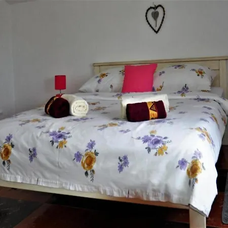 Apartment Belicka *